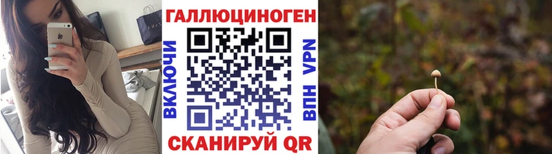 блэк спрут рабочий сайт  Суздаль  Псилоцибиновые грибы прущие грибы  где можно купить  